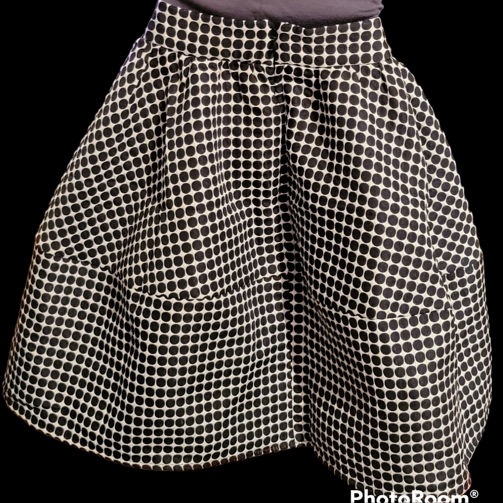 NWT Zara Skirt Bouffant 10 Fully Lined